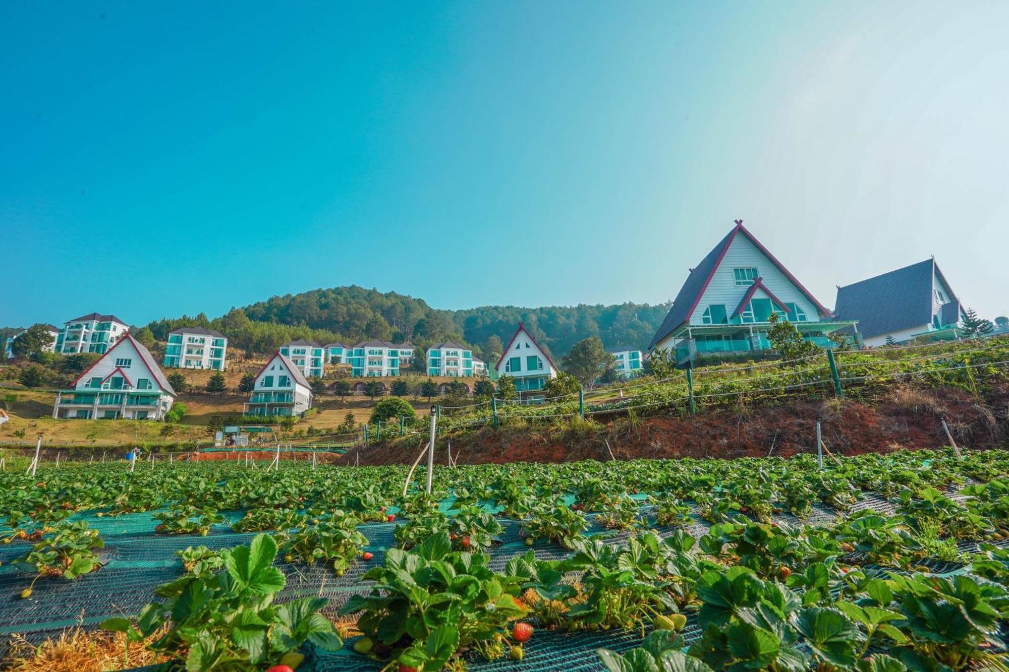 Dalat Wonder Resort Dış mekan fotoğraf
